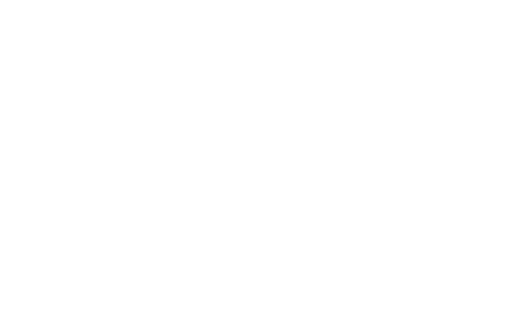 THE MUSICAL DAY SPECIAL BAND